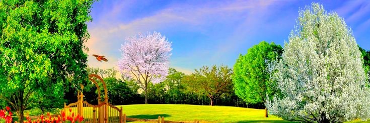 kanheya_swami's profile banner image