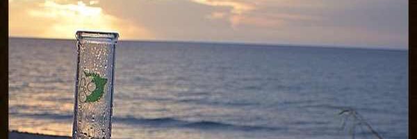 Love_Demus's profile banner image