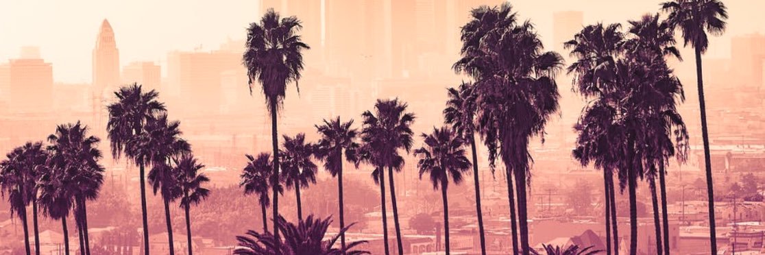 MichellePuglisi's profile banner image