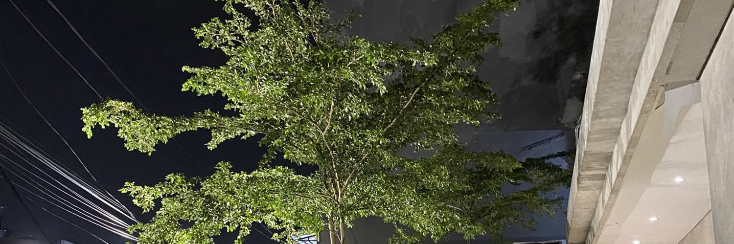 ignatius_risky's profile banner image