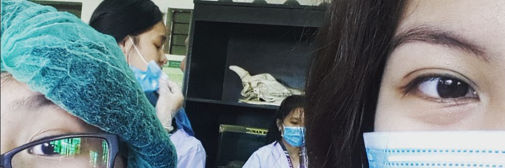 JevjevKlb's profile banner image