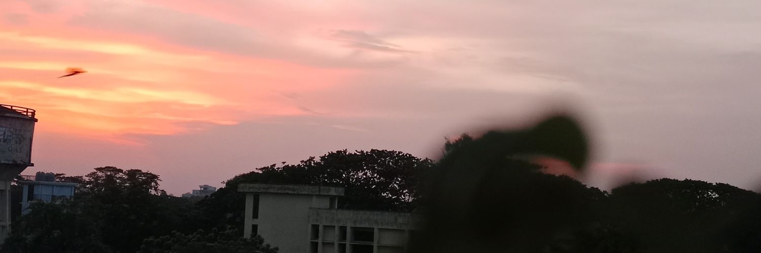 nafsinnim's profile banner image