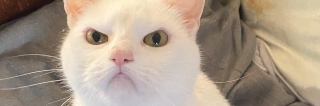 Nathannzzzz's profile banner image