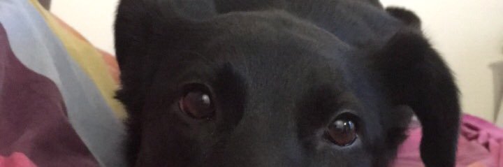 Wizlay23's profile banner image
