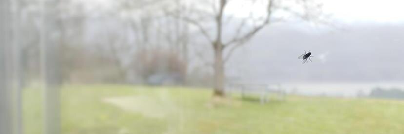 amitsaysnothing's profile banner image