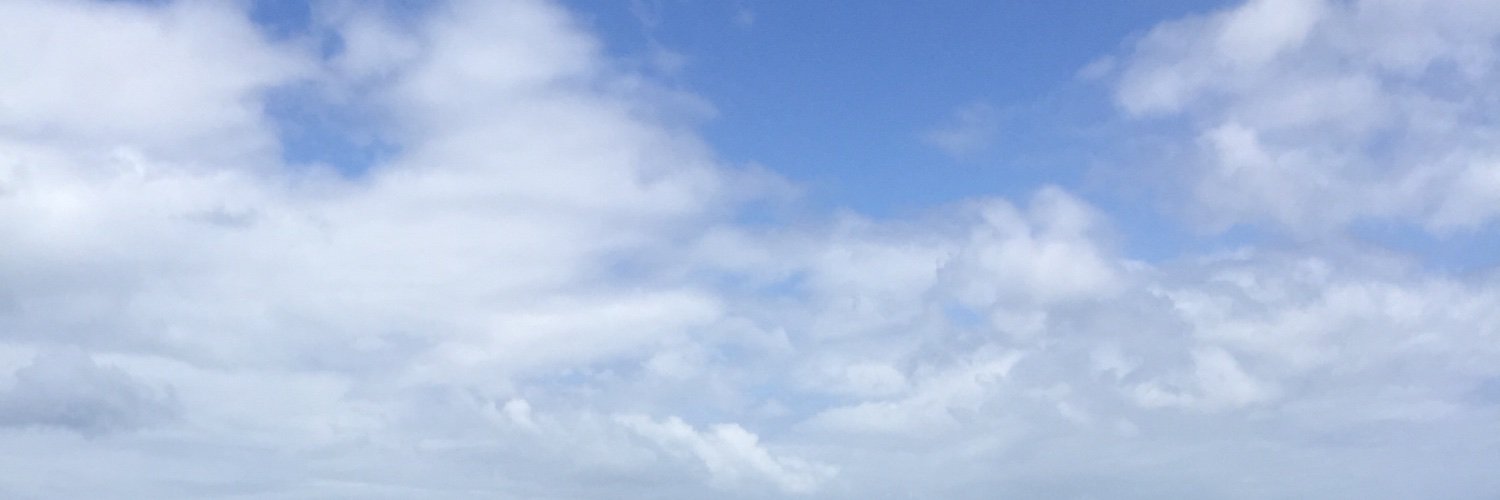 raymantis_'s profile banner image