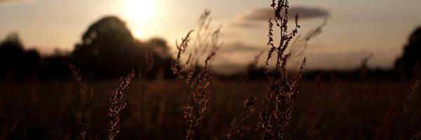 FountainTenbury Profile Banner