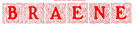 Braene1's profile banner image
