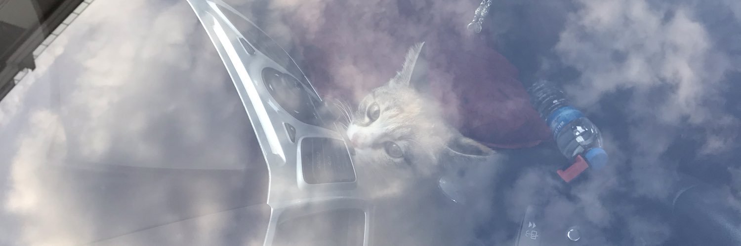 sefgdytk's profile banner image