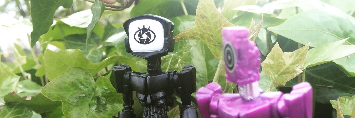 BuzzyBluebell's profile banner image