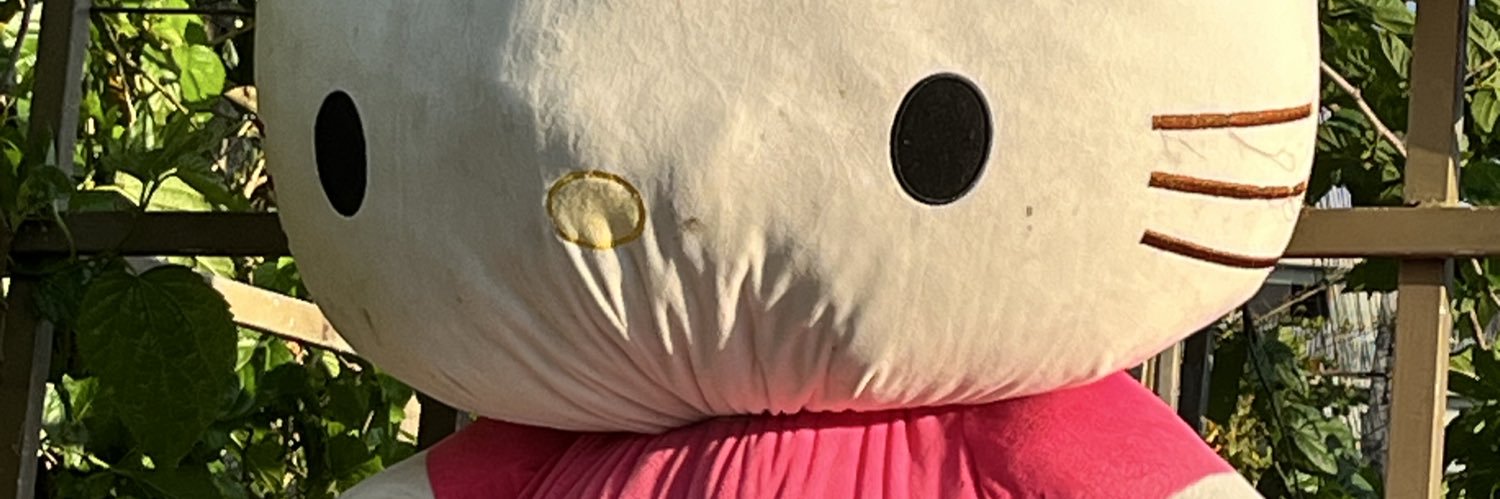 Manolovanzel's profile banner image