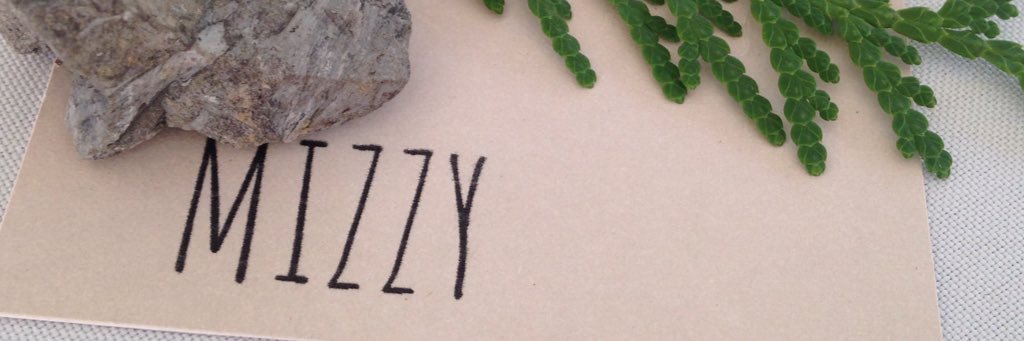 mizzy_ornek's profile banner image