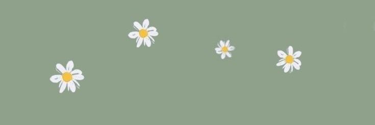 MarinaPlv's profile banner image
