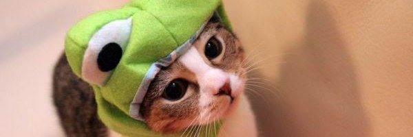 matthias_code Profile Banner