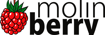 Molinberry's profile banner image