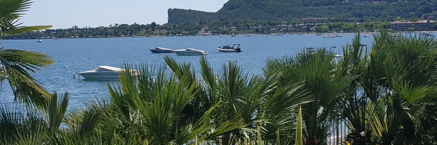Giulietto banner