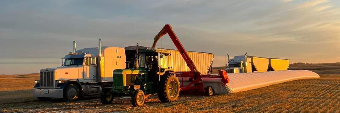 saskcowboytd's profile banner image