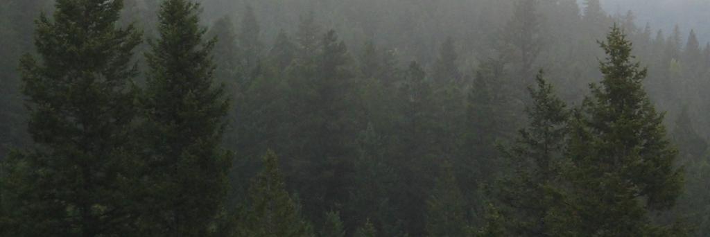 jasonrpgvs's profile banner image