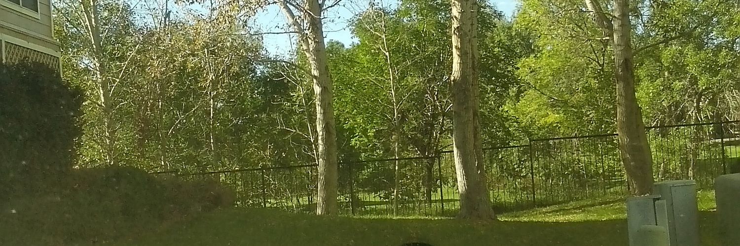 CubanBenny's profile banner image