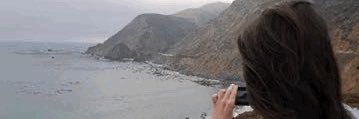 Ale Núñez banner