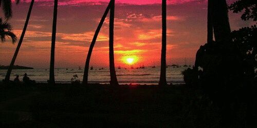 hnt_fg's profile banner image