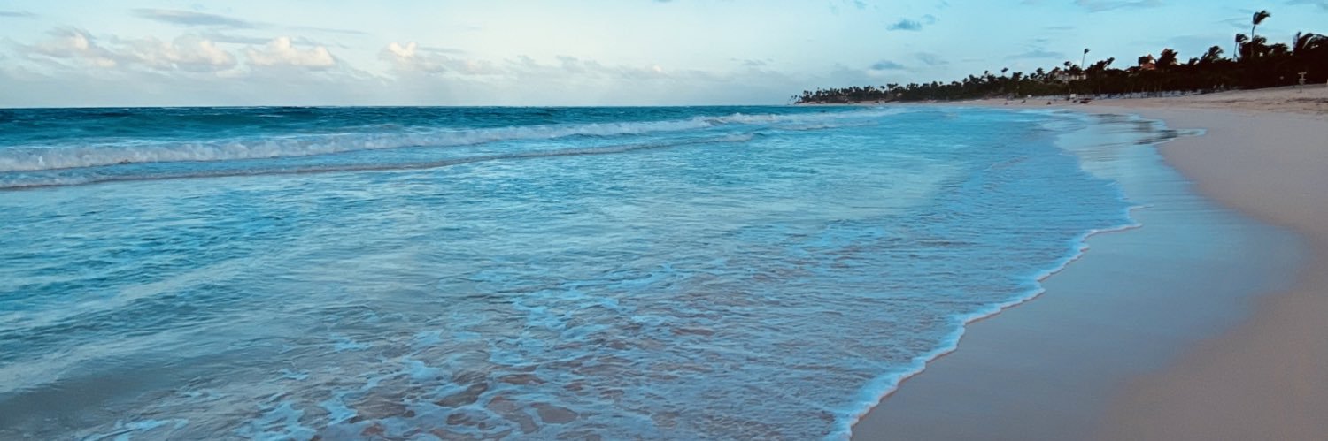 cata_mercadal's profile banner image