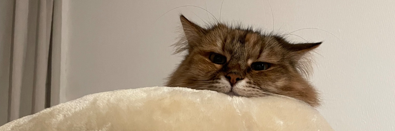 YiliasAtesca's profile banner image