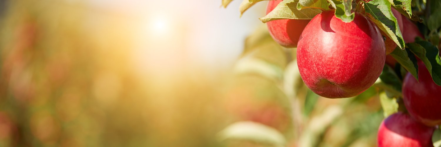 BioSolutions Conference & Expo banner