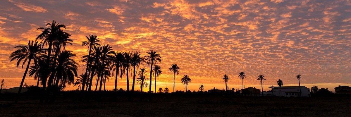 Fidann_60's profile banner image