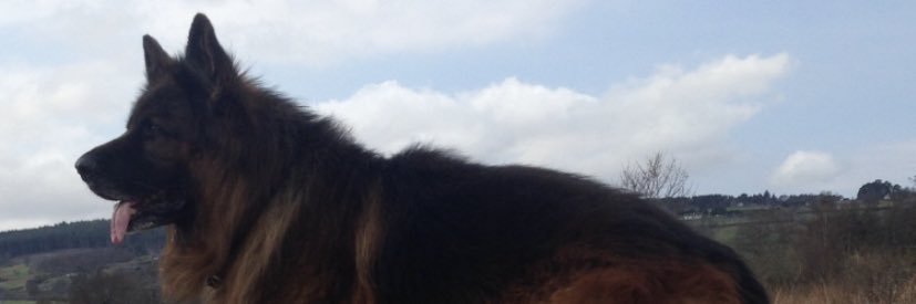 Kieran_Mactav's profile banner image