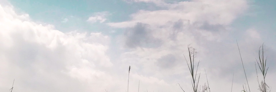 mar_marsella's profile banner image