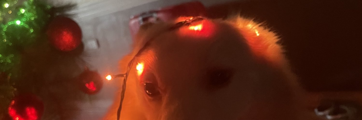 Ishyleeee's profile banner image