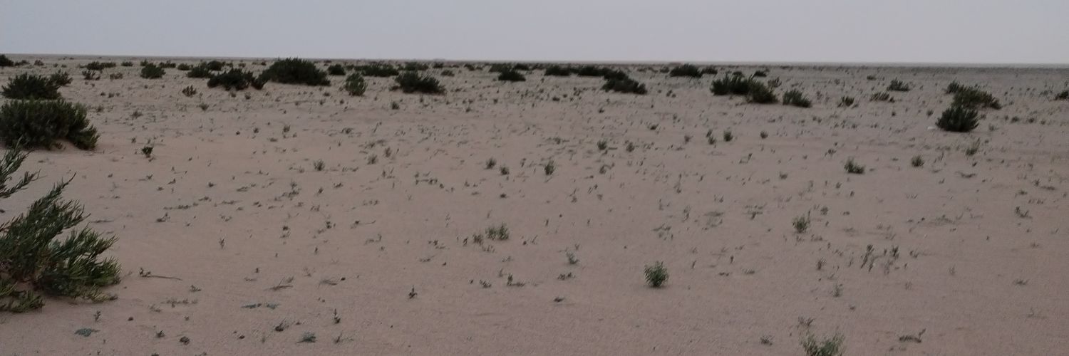 sh3aag's profile banner image