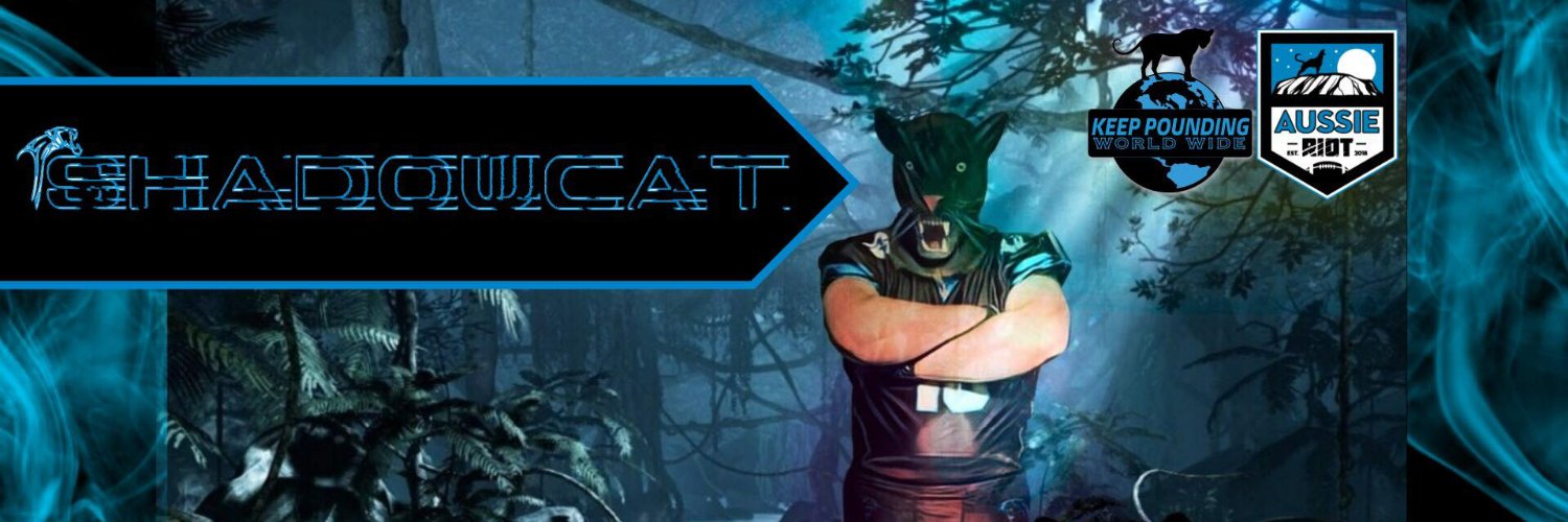 TheShadowCat3's profile banner image