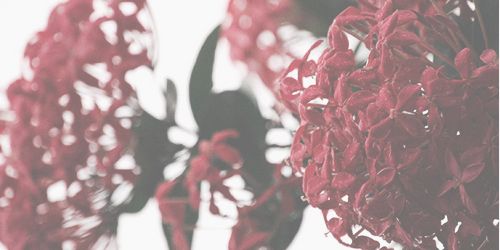 gemmabasgdr's profile banner image