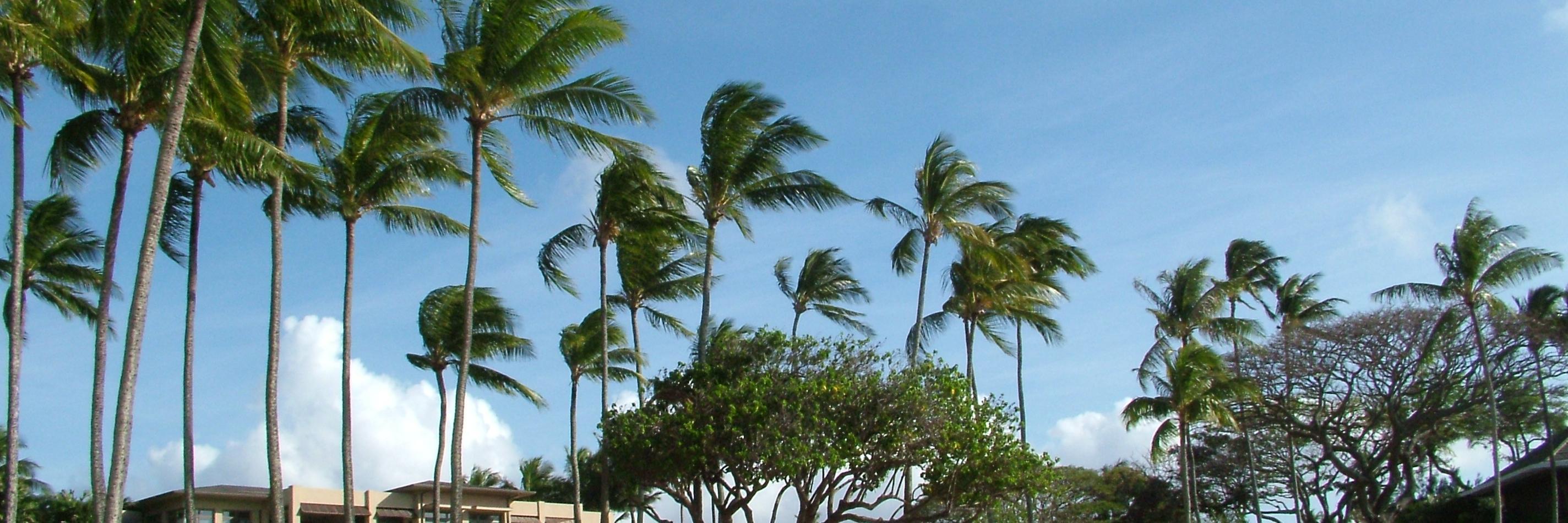 DouglasFaillace's profile banner image