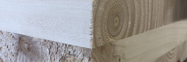 _rimjhimkashyap Profile Banner