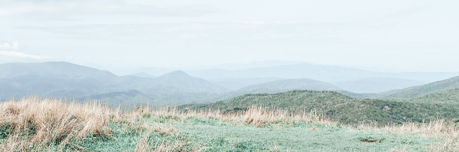 Mlew21's profile banner image