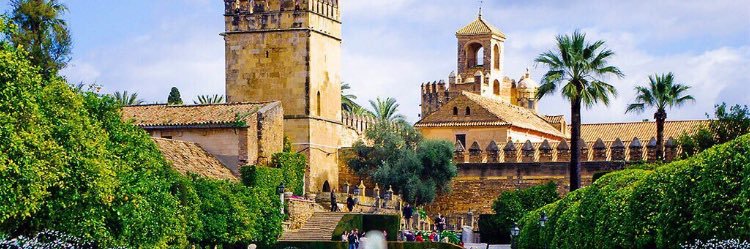 خالد عبدالله المعصب banner