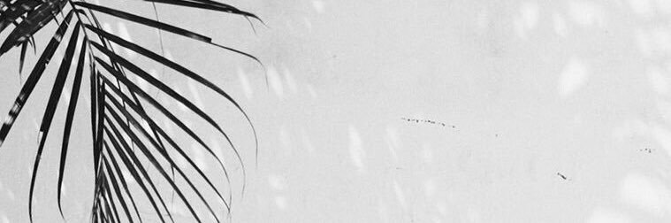 chamerxx's profile banner image