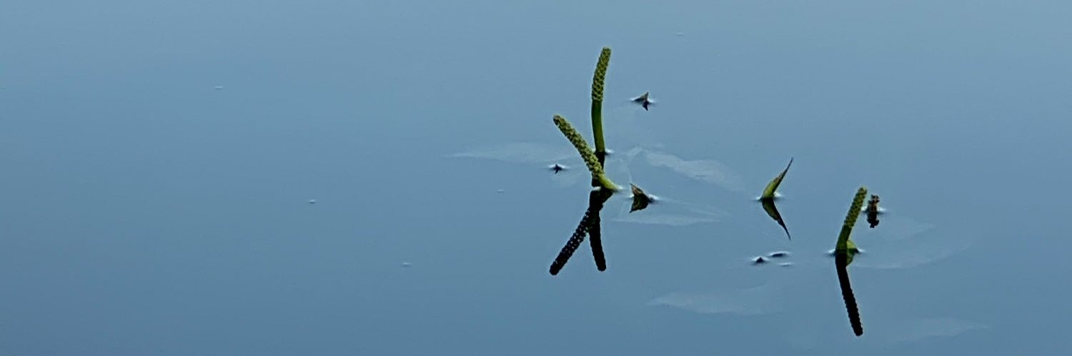 SergeyMonko's profile banner image