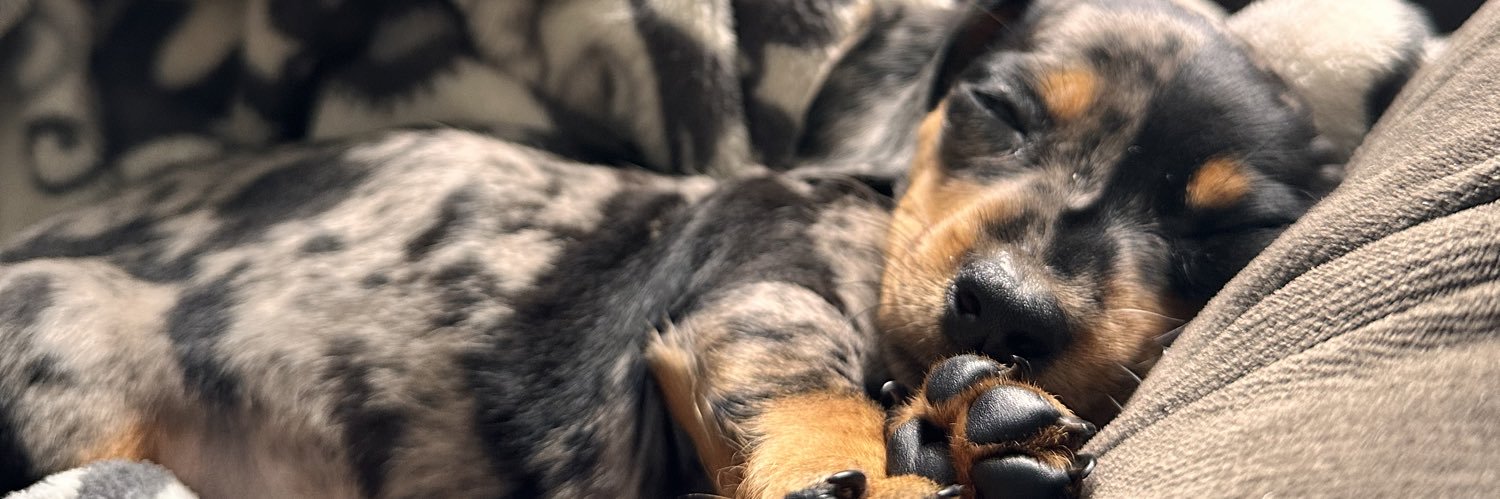 dengucho_'s profile banner image