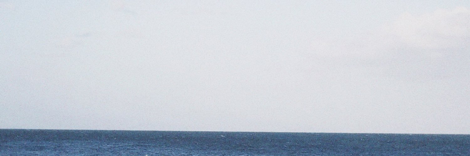 delfiifari's profile banner image