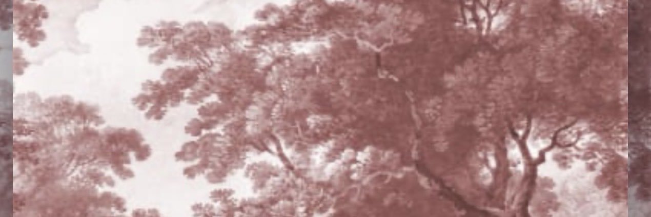 imvalree's profile banner image