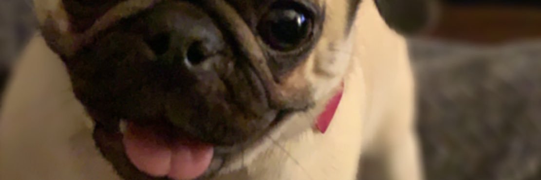tatted_taco's profile banner image