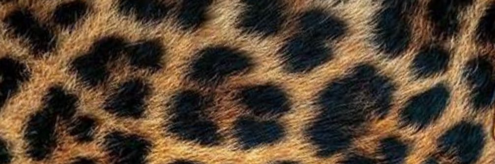 topmyaa's profile banner image