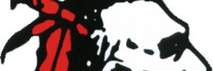 Logan Elm Wrestling banner