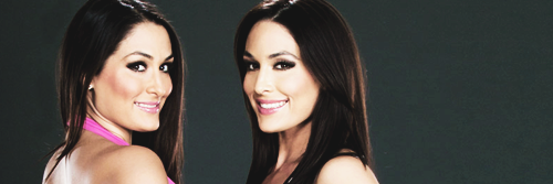 NikkiBrieB's profile banner image