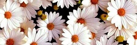 DobleU_w's profile banner image