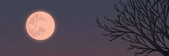 Reko_hamza's profile banner image